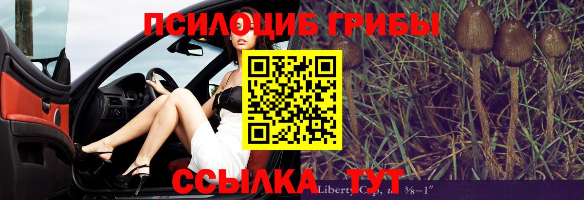 Галлюциногенные грибы GOLDEN TEACHER Мариинск